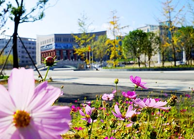 校园风景.jpg 校园风景.jpg