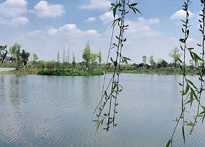 景区一般的校园 景区一般的校园