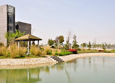 双师型教师 双师型教师