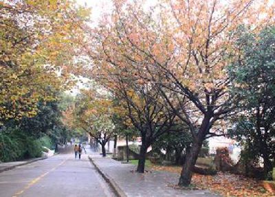 雅安航空工业联合技工学校 雅安航空工业联合技工学校