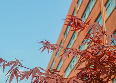 广元职业高级中学校