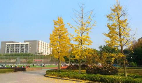 重庆医药高等专科学校2022年有哪些专业、招生专业