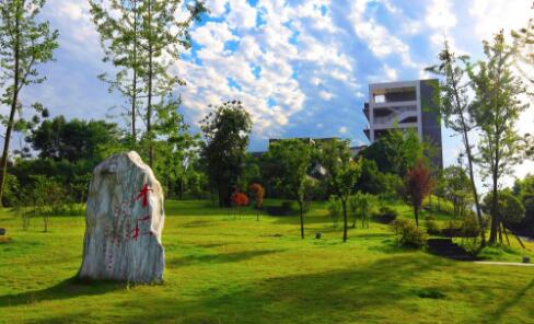 重庆医药高等专科学校2022年学费