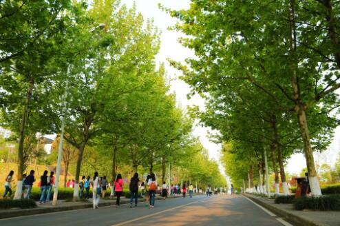 重庆医药高等专科学校简介、介绍 重庆医药高等专科学校简介、介绍