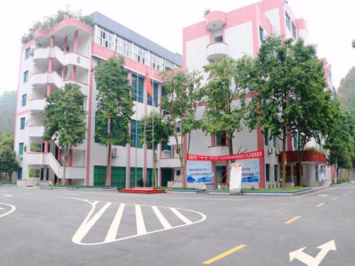 重庆南丁卫生职业学校 重庆南丁卫生职业学校