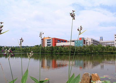 学校湖水.jpg 学校湖水.jpg