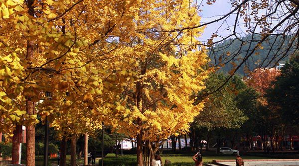 周边环境 周边环境