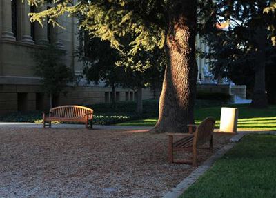 æ ¡å­ä¸è§