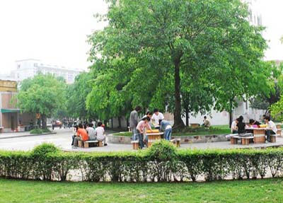 æé½èºæ¯èä¸å­¦é¢