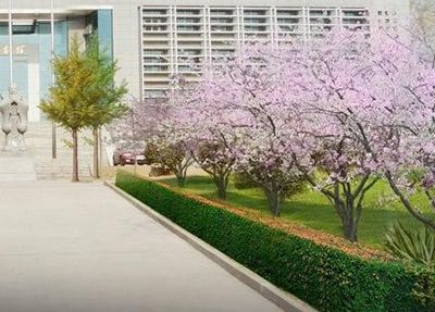 学校景色.jpg 学校景色.jpg