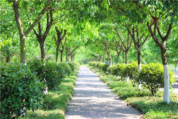 麻江县中等职业技术学校2022春季收费标准?