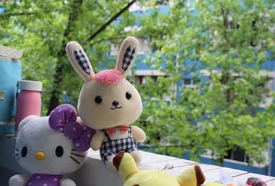 贵州台江中等职业学校办学怎么样、学校好不好