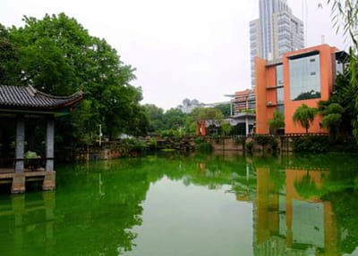 重庆医药经贸卫生学校怎么样、学校师资如何