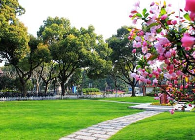 æé½æµ©è¯è䏿è½å¹è®å¦æ ¡ æé½æµ©è¯è䏿è½å¹è®å¦æ ¡