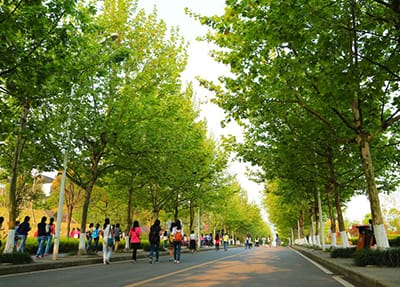 重庆医药高等专科学院专升本