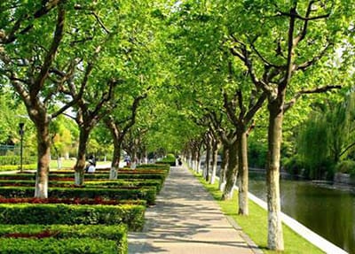 重庆农业学校简介 重庆农业学校简介