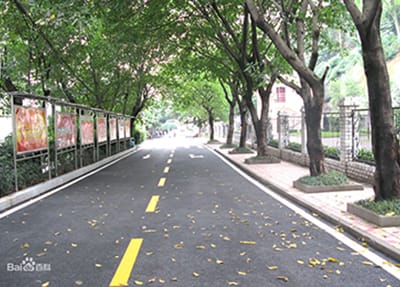 林荫大道 林荫大道