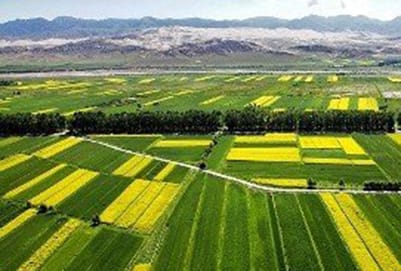 从事农业行业的工资待遇怎么样