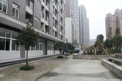 2023年成都信息技术学校招生专业