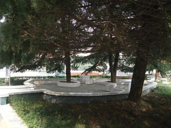 2023年双流县成人中等专业学校招生专业