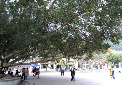 2023年重庆渝州车辆工程技术学校招生专业