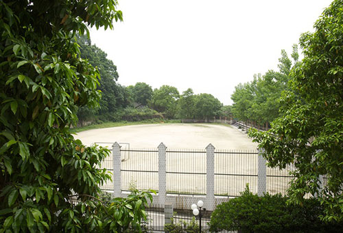 重庆市南丁卫生职业学校校园环境怎么样？