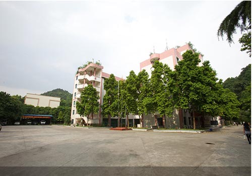 重庆市南丁卫生职业学校校园环境怎么样？