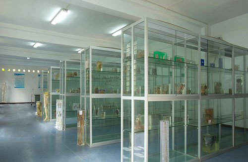 重庆市南丁卫生职业学校教学环境怎么样？