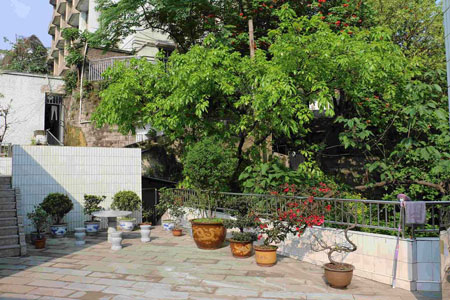 重庆市医药经贸学校
