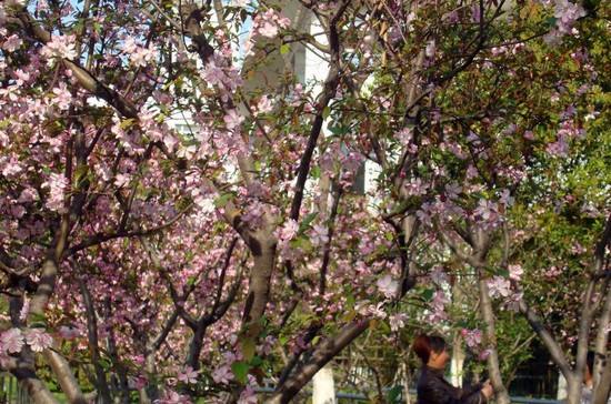 重庆市医药科技学校