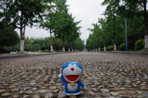 云南中医学院的网址是多少 云南中医学院的网址是多少