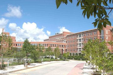 重庆医药高等专科学校地址在哪