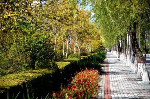 2022年新都区中等卫生职业学校录取分数线