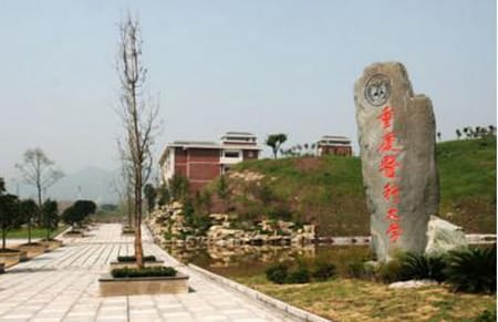 重庆医科大学专业的收费标准是多少？