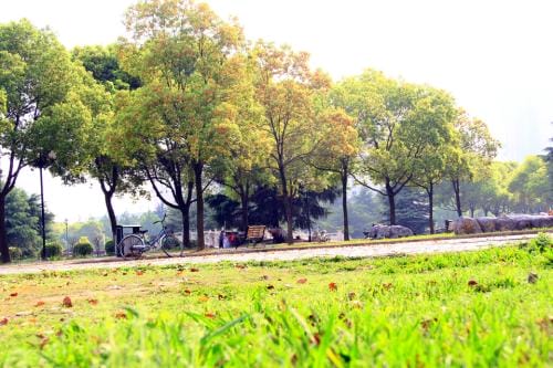 2022年新都区中等卫生职业学校收费标准