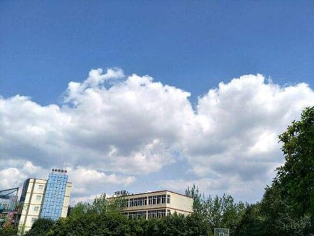 成都华大医药卫生学校平时有哪些活动？