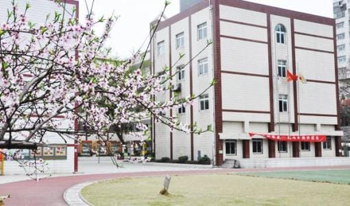 2022年四川红十字卫生学校收费标准