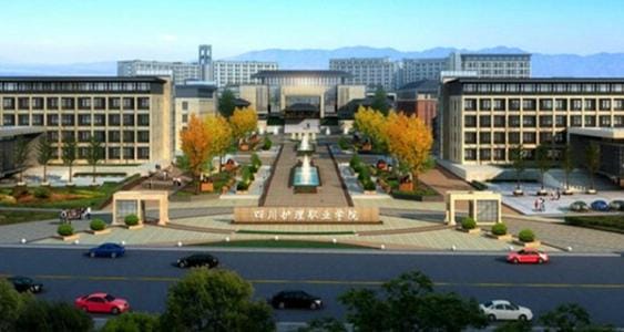 2022年四川护理护理学院收费标准