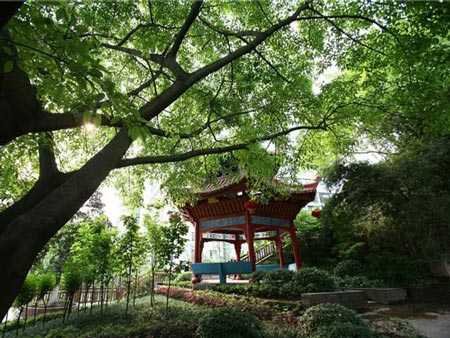 中国人民解放军陆军军医大学校园环境介绍