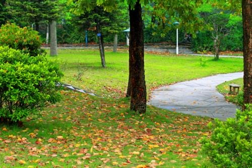 2023年云南科技信息职业学院药学类收费标准