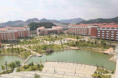 贵州医科大学学校学生就业情况