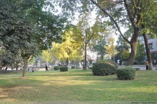 四川大学华西临床医学院校园一角