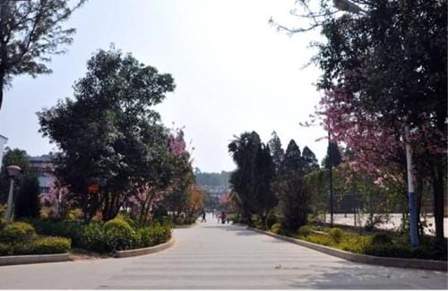 云南经贸外事职业学院校园一角环境