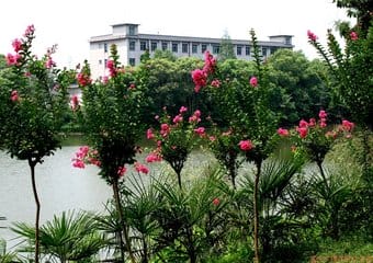 重庆文理学院的网址是多少