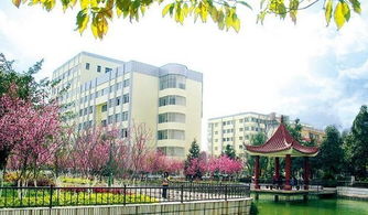 云南现代职业技术学院环境