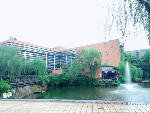 重庆大学的网址是多少