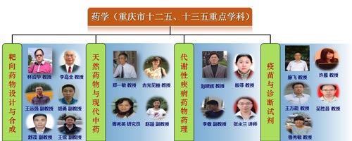 重庆理工大学药学与生物工程学院药学老师