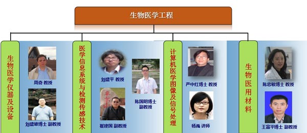 重庆理工大学药学与生物工程学院生物医学工程老师