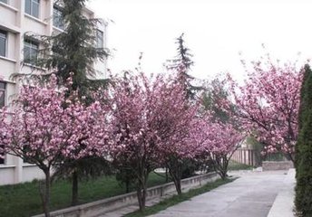 贵州工业职业技术学院到底怎么样_学校概况