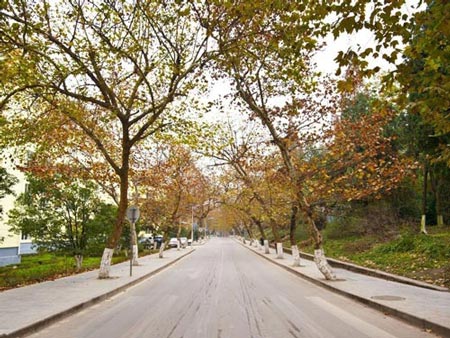 云南经济管理学院校园风景